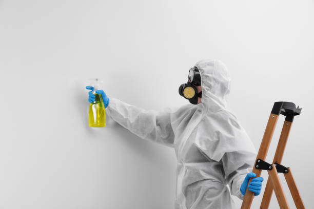 Best Biohazard Mold Removal  in Owingsville, KY